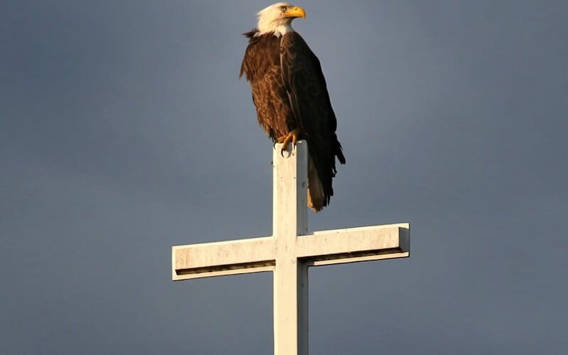 Arend en kruis