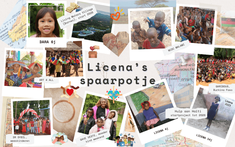 Licena's spaarpotje overzicht