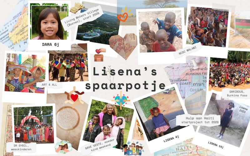 Lisena's spaarpotje overzicht